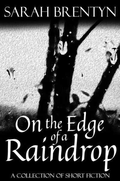 On the Edge of a Raindrop by Sarah Brentyn