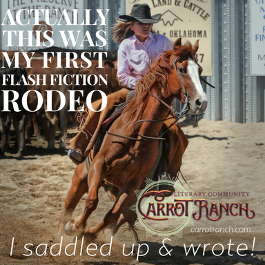 Flash Fiction Rodeo Contest