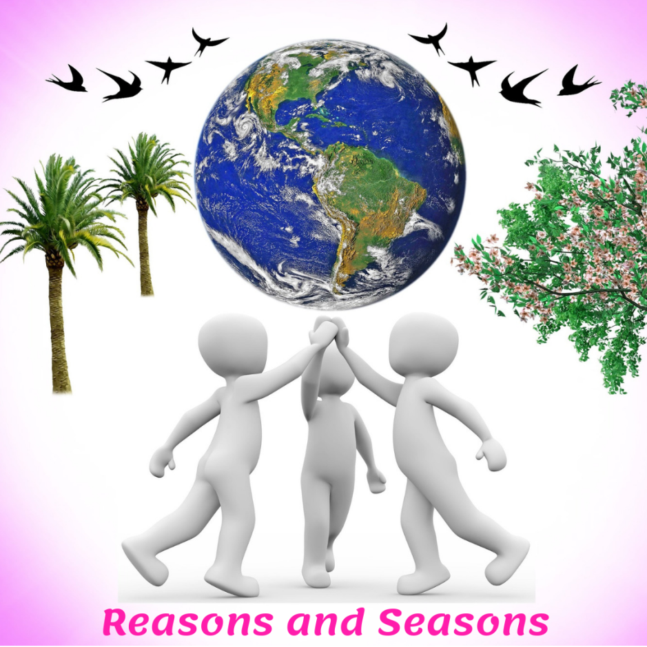 Reasons and seasons